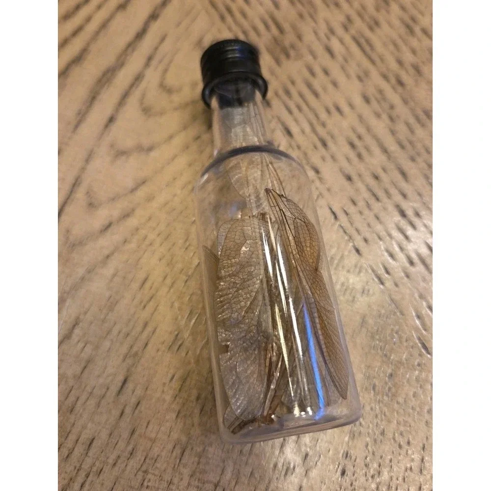 Dragonfly Wings Real Wings 15 Wings Potion Bottle Apothecary Witchcraft Potion